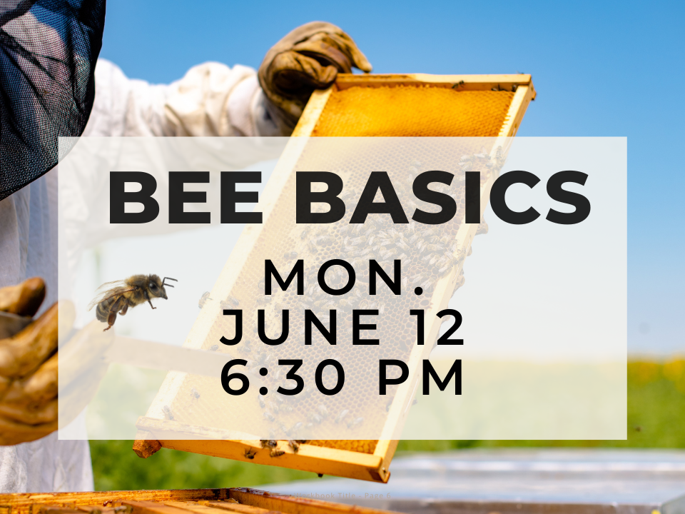 Bee Basics, Monday, June 12 at 6:30 PM